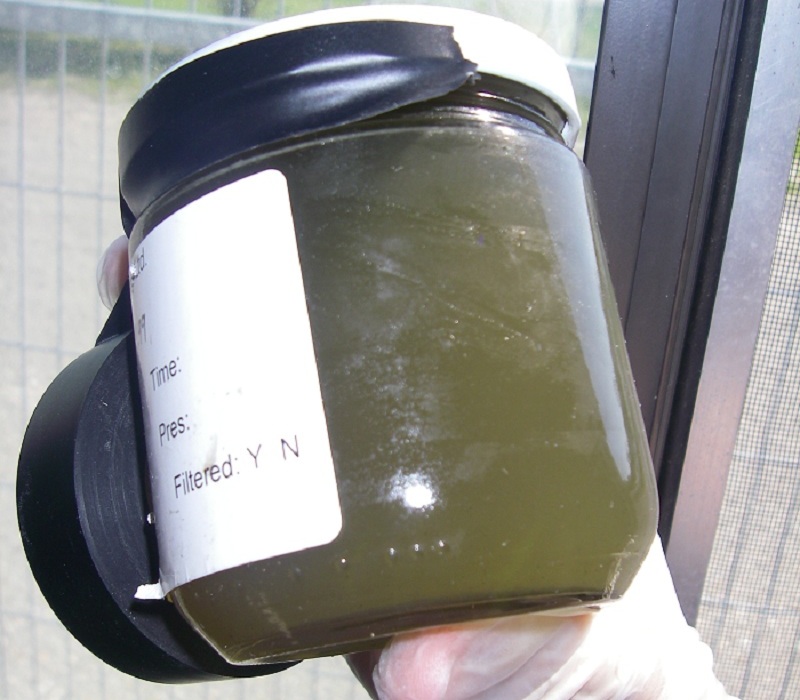 Water Sample